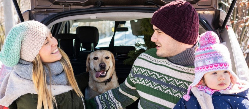 Códigos descuento Europcar