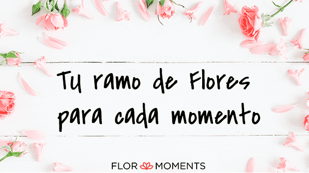 cashback-flor-moments