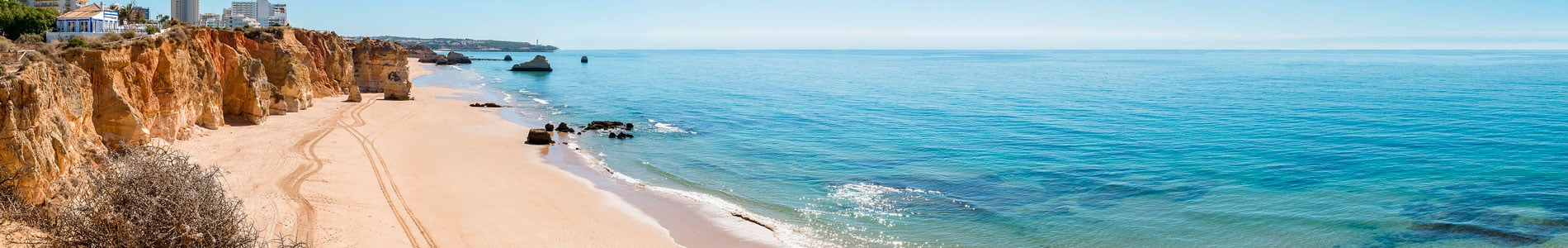 header-beach-body