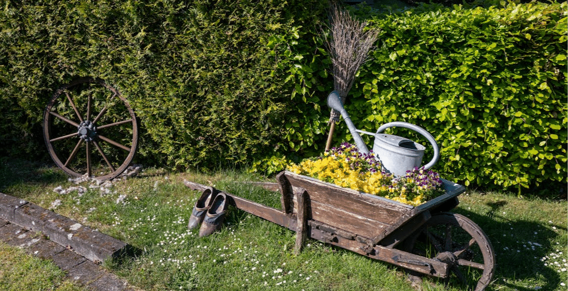 STIHL