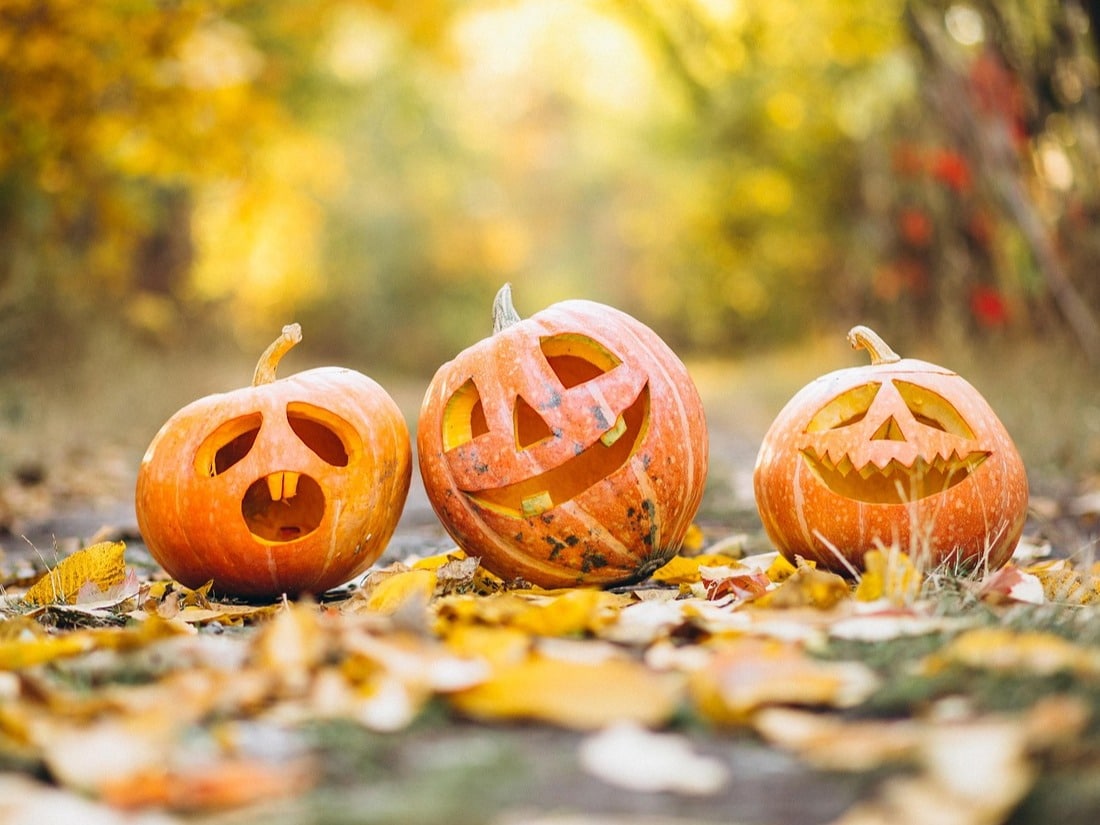 pumpkin-image